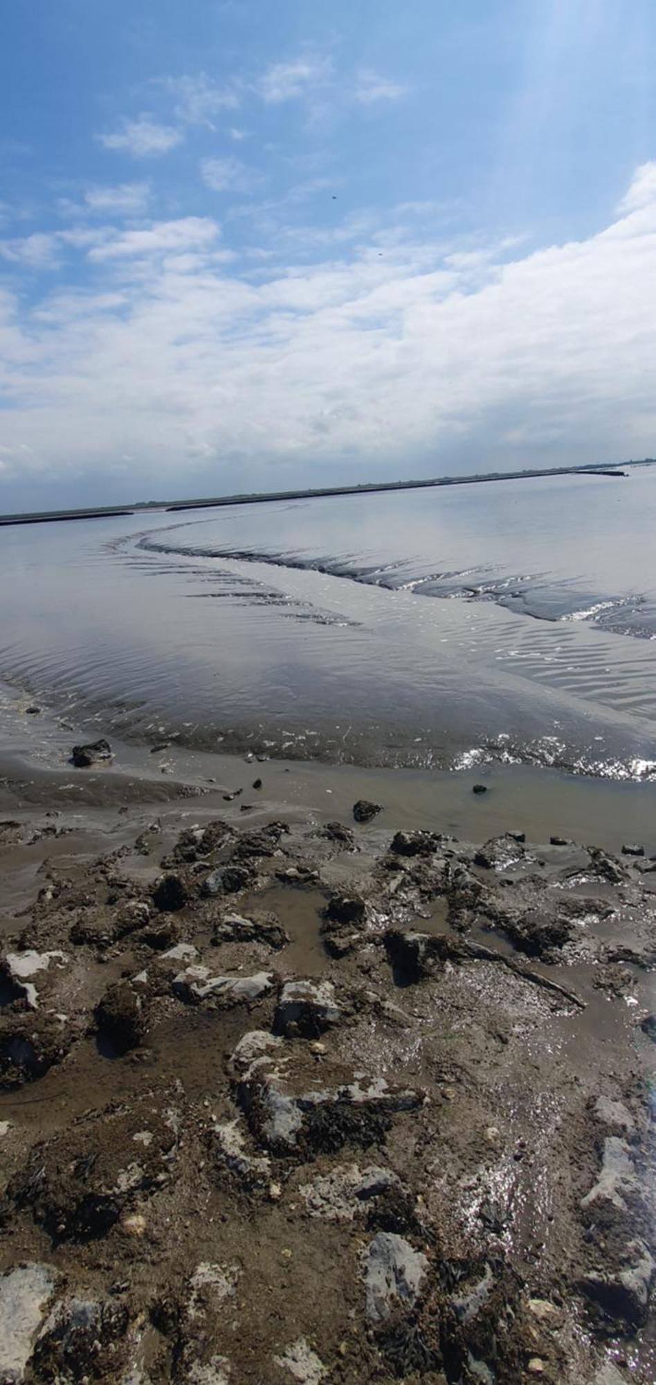 De Groote Medwert Lägenhet Holwerd Exteriör bild